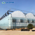 Végétaux de film multipan Greenhouse avec système hydroponique